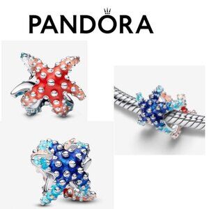 Colourful Starfish Mini Charm